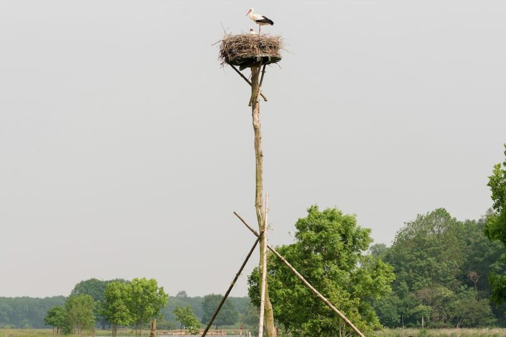 Het Boshuis Dalfsen Extérieur photo